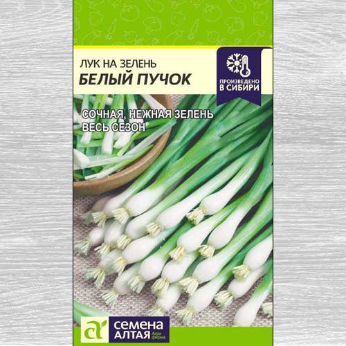 Лук на зелень Белый пучок изображение 1 артикул 78094