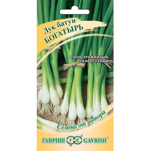 Лук на зелень Богатырь, семена артикул фото 1 Лук на зелень Богатырь, семена изображение 1 артикул 91732