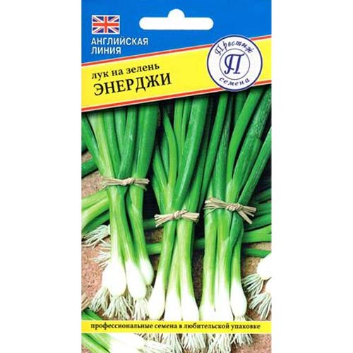 Лук на зелень Энерджи Престиж изображение 1 артикул 65729