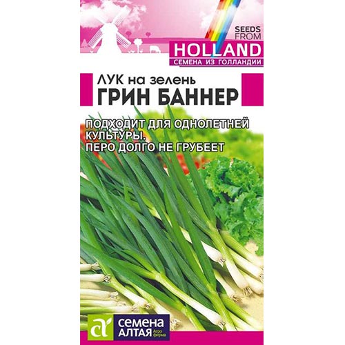 Лук на зелень Грин Баннер Семена Алтая изображение 1 артикул 81506