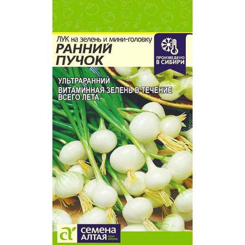 Лук на зелень и мини-головку Ранний пучок, семена изображение 1 артикул 94061