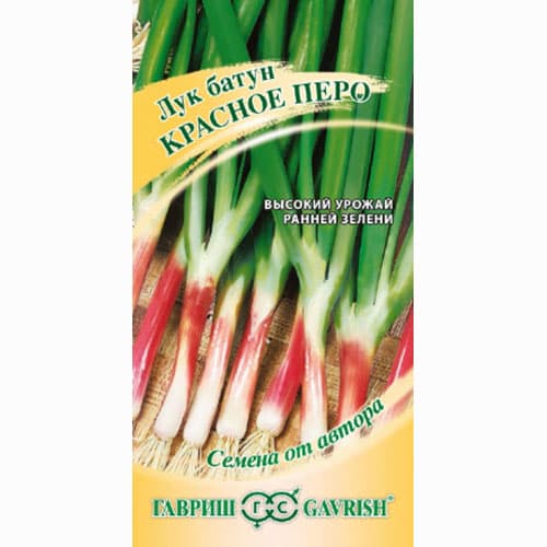 Лук батун Красное перо Гавриш артикул фото 1 Лук батун Красное перо Гавриш изображение 1 артикул 65021