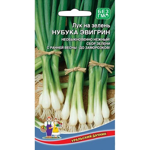 Лук на зелень Нубука Эвигрин, семена изображение 1 артикул 94555