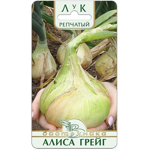 Лук репчатый Алиса Грейг Биотехника изображение 1 артикул 97291