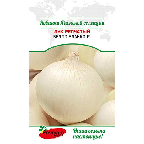 Лук репчатый Белло бланко F1, семена изображение 1 артикул 93184