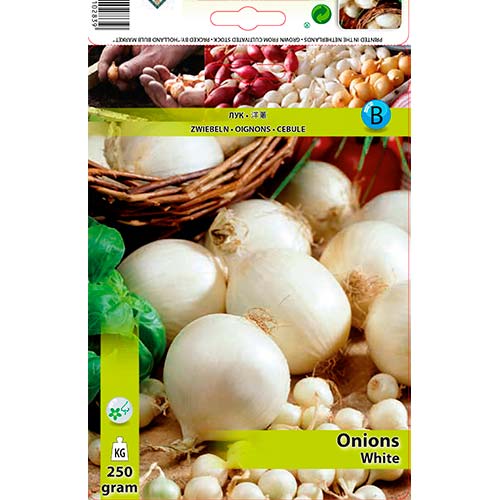 Лук репчатый белый артикул фото 1 Лук репчатый белый изображение 1 артикул 70497