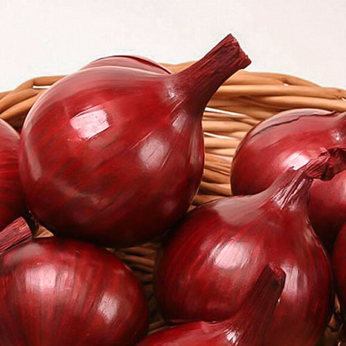 Лук репчатый Черный Принц Уральский дачник изображение 1 артикул 84957