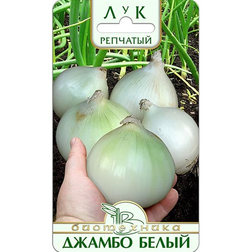 Лук репчатый Джамбо белый Биотехника изображение 1 артикул 91513