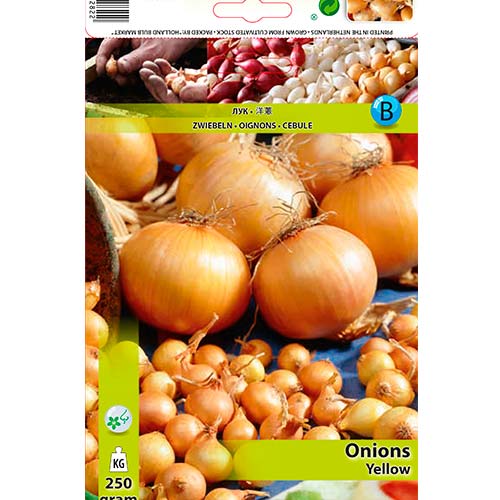 Лук репчатый желтый артикул фото 1 Лук репчатый желтый изображение 1 артикул 70496