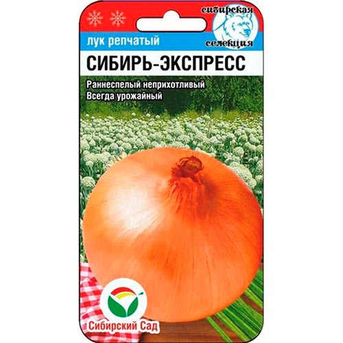 Лук репчатый Сибирь-экспресс Сибирский сад изображение 1 артикул 78401
