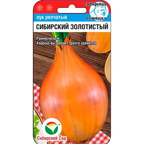 Лук репчатый Сибирский золотистый Сибирский Сад изображение 1 артикул 78399