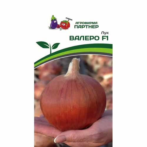 Лук репчатый Валеро F1 Партнер изображение 1 артикул 88083