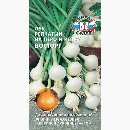 Лук репчатый Восторг Седек изображение 1 артикул 98025
