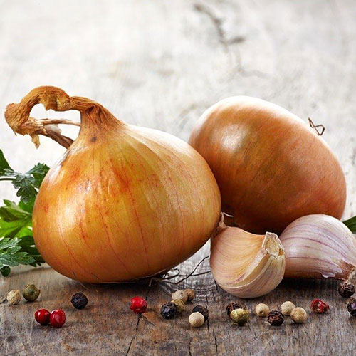 Лук репчатый Золотой лапоть Premium Seeds изображение 1 артикул 83758