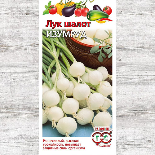 Лук шалот Изумруд Гавриш изображение 1 артикул 71030
