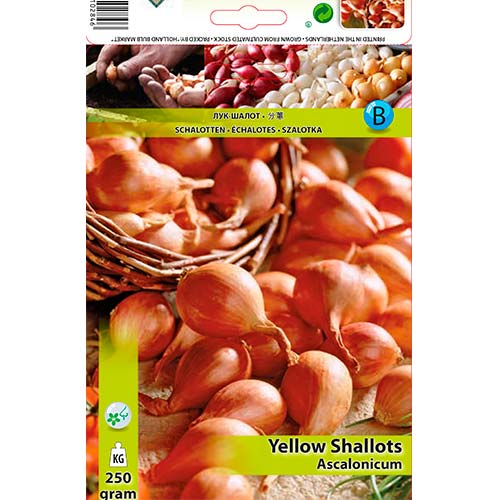 Лук шалот желтый изображение 1 артикул 70498