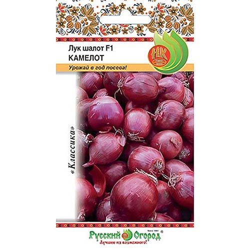 Лук шалот Камелот F1, семена изображение 1 артикул 92335