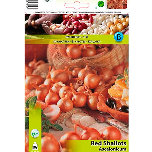 Лук шалот красный изображение 1 артикул 70499