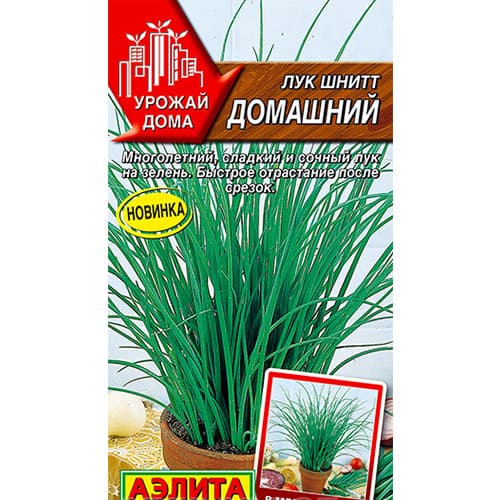 Лук шнитт Домашний Аэлита изображение 1 артикул 98329