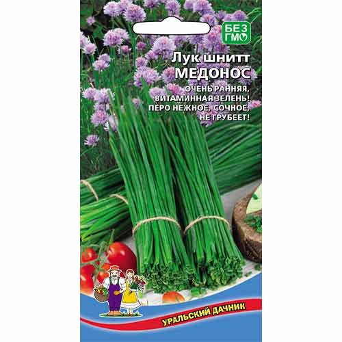 Лук шнитт Медонос Гавриш изображение 1 артикул 97446