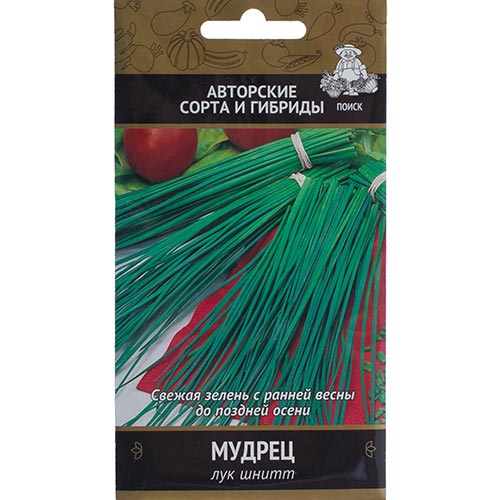 Лук шнитт Мудрец, семена изображение 1 артикул 92756