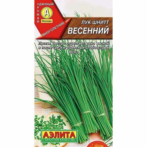 Лук шнитт Весенний Аэлита артикул фото 1 Лук шнитт Весенний Аэлита изображение 1 артикул 40091