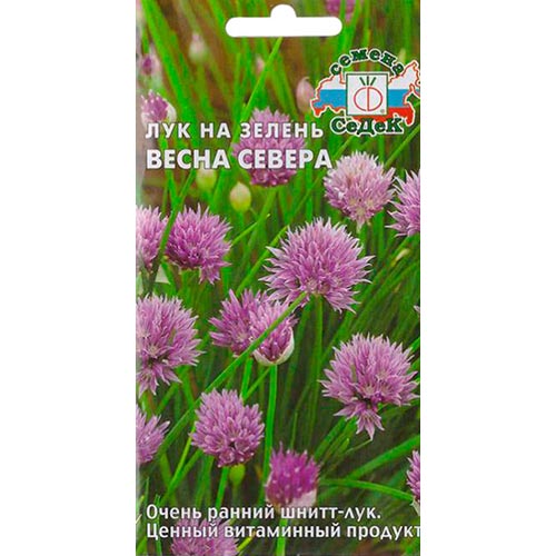 Лук шнитт Весна Севера, семена изображение 1 артикул 93424