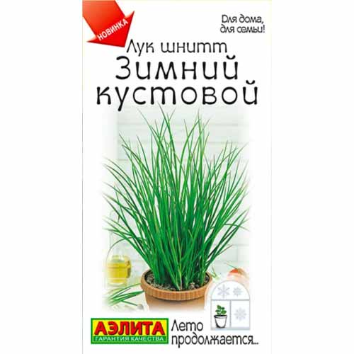 Лук шнитт Зимний кустовой Аэлита артикул фото 1 Лук шнитт Зимний кустовой Аэлита изображение 1 артикул 40092