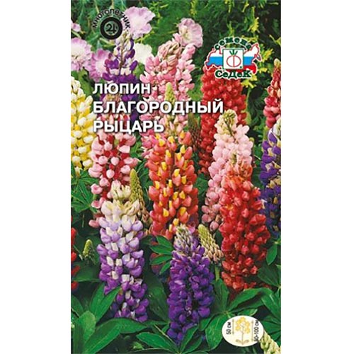 Люпин Благородный рыцарь, семена изображение 1 артикул 93887