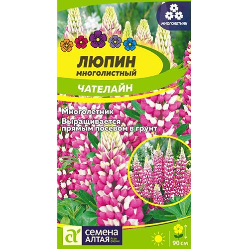 Люпин Чателайн, семена изображение 1 артикул 94193