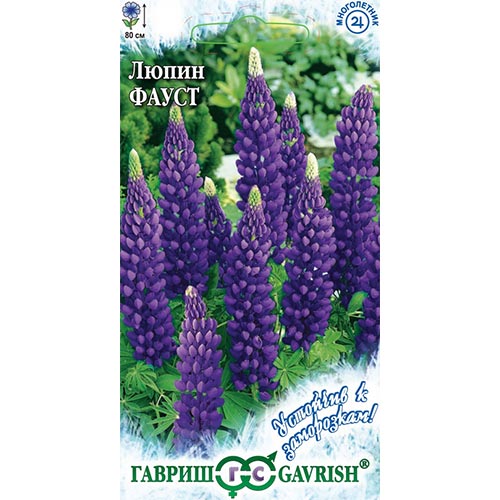 Люпин Фауст, семена изображение 1 артикул 92142