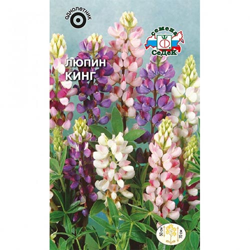 Люпин Кинг, смесь окрасок артикул фото 1 Люпин Кинг, смесь окрасок изображение 1 артикул 93888