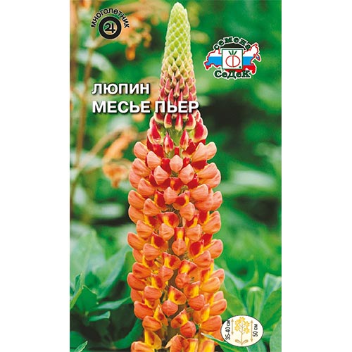 Люпин Месье Пьер, семена изображение 1 артикул 93891