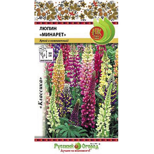 Люпин Минарет, смесь окрасок артикул фото 1 Люпин Минарет, смесь окрасок изображение 1 артикул 92559