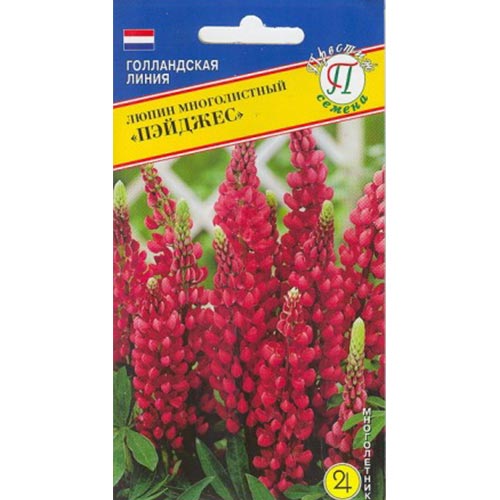 Люпин Пейджес Престиж артикул фото 1 Люпин Пейджес Престиж изображение 1 артикул 84496