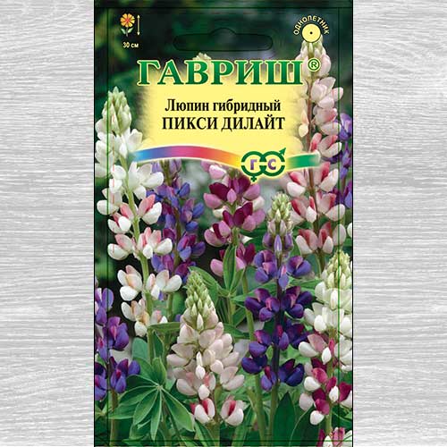 Люпин Пикси Дилайт, смесь окрасок Гавриш артикул фото 1 Люпин Пикси Дилайт, смесь окрасок Гавриш изображение 1 артикул 73874