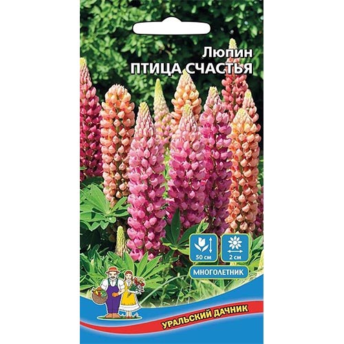 Люпин Птица счастья, смесь окрасок изображение 1 артикул 94823