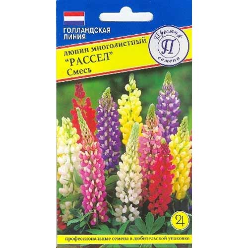 Люпин многолистный Рассел Престиж артикул фото 1 Люпин многолистный Рассел Престиж изображение 1 артикул 84497