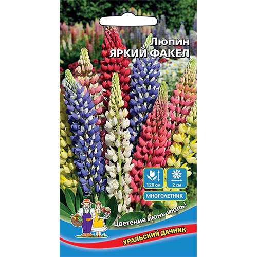 Люпин Яркий факел, смесь окрасок артикул фото 1 Люпин Яркий факел, смесь окрасок изображение 1 артикул 94824