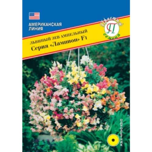 Антирринум (львиный зев) ампельный Лампион F1, смесь окрасок Престиж артикул фото 1 Антирринум (львиный зев) ампельный Лампион F1, смесь окрасок Престиж изображение 1 артикул 71469
