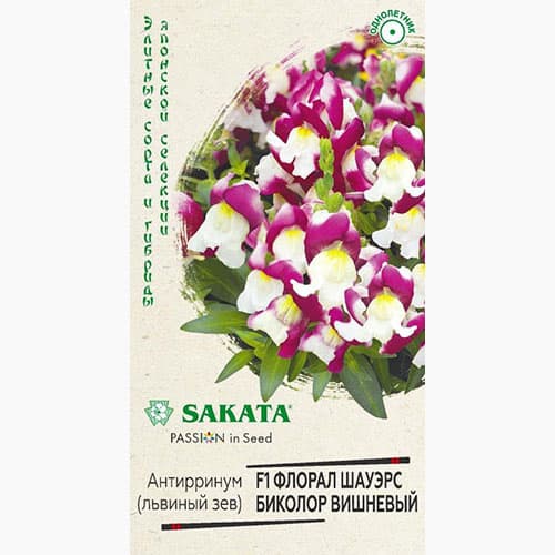 Львиный зев (антирринум) Флорал Шауэрс Биколор вишневый F1 Гавриш изображение 1 артикул 97740