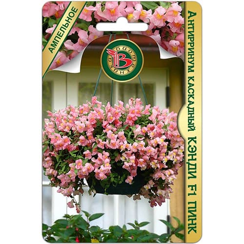 Львиный зев (антирринум) каскадный Кэнди Пинк F1 Биотехника изображение 1 артикул 97315