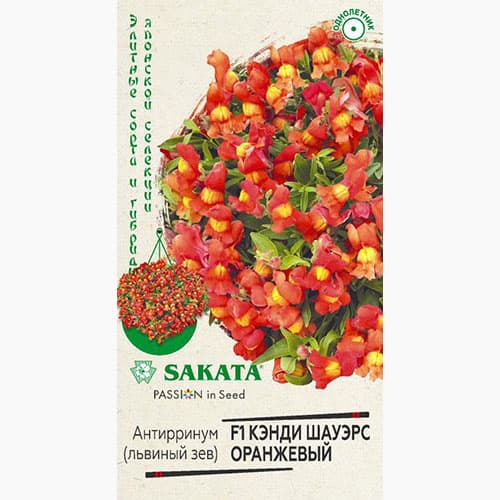 Львиный зев (антирринум) Кэнди Шауэрс оранжевый F1 Гавриш изображение 1 артикул 97732