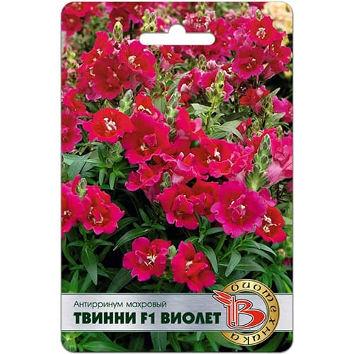 Львиный зев (антирринум) махровый Твинни Виолет F1 Биотехника изображение 1 артикул 97316