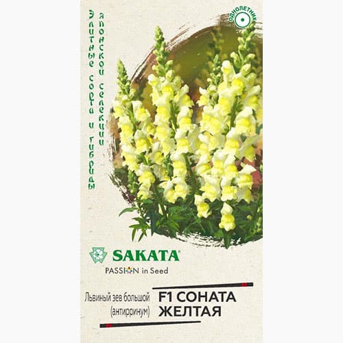 Львиный зев (антирринум) Соната желтая F1 Гавриш изображение 1 артикул 97736