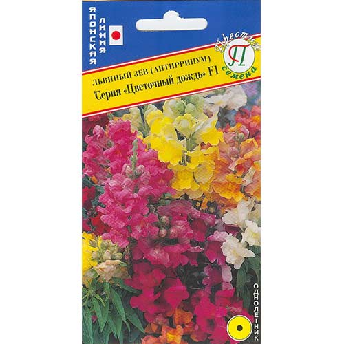 Антирринум (львиный зев) Цветочный дождь белый F1 Престиж изображение 1 артикул 71472