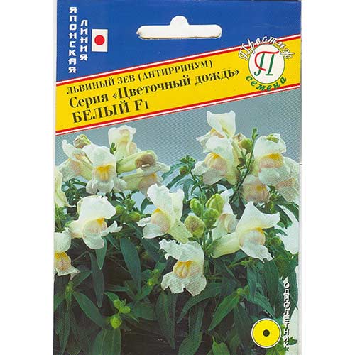 Антирринум (львиный зев) Цветочный дождь F1, смесь окрасок Престиж изображение 1 артикул 71476