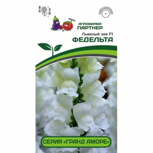 Львиный Зев Гранд Аморе Федельта F1 Партнер изображение 1 артикул 40811