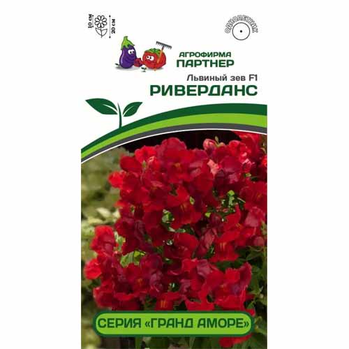 Львиный Зев Гранд Аморе Риверданс F1 Партнер изображение 1 артикул 40808