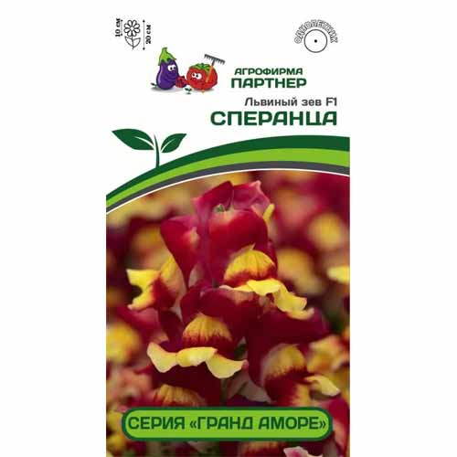 Львиный Зев Гранд Аморе Сперанца F1 Партнер изображение 1 артикул 40809